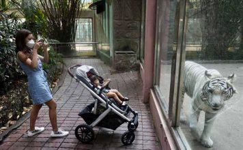 địa điểm vui chơi ở sài gòn - các địa điểm vui chơi ở tphcm