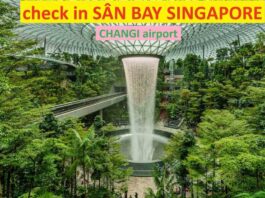 Sân Bay Changi Singapore Airport top 3 thế giới